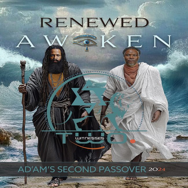 Renewed Awaken